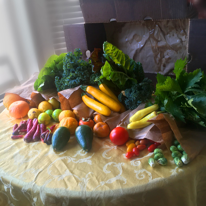 Example CSA Box from November 19, 2020